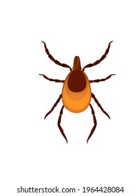 Top View Illustration On Bed Bug Cartoon Bloodsucking Insect Design Vector Illustration Isolated On White Background