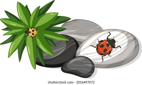 Top view of ladybug on stones leaf isolated illustration