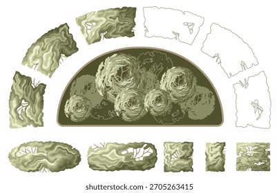 Vista superior de arbustos y setos de paisaje. Elementos de séquito para Planes arquitectónicos. Vector.