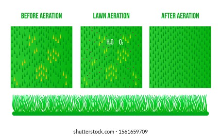 Top view Lawn Aeration. Before and After stage design. Vector stock sign surface illustration. Good lawn isolated on white background