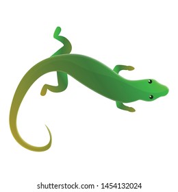 Top view lizard icon. Cartoon of top view lizard vector icon for web design isolated on white background