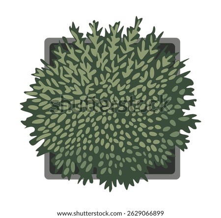 Top view of a lush green potted plant in a square pot. Vector illustration isolated on white. Perfect for landscape design, architecture plans, and interior decoration project