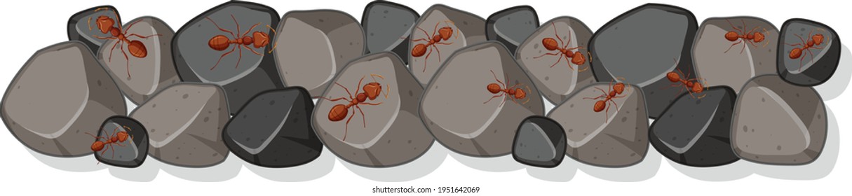 Top view of many ants on the rock illustration