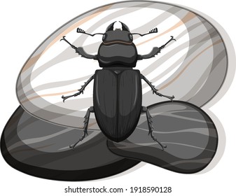 Top view of metallic dung beetle on a stone on white background illustration