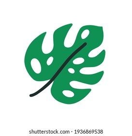 Top view of monstera palm leaf with stalk. Simple colored icon of trendy foliage plant. Flat vector illustration of green botanical element isolated on white background