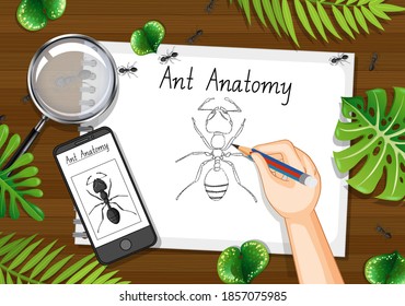 Top view office work table with office elements with green leaves and insects illustration