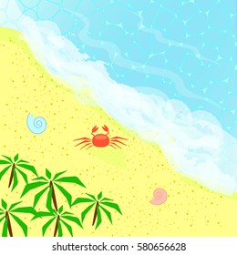 Top view on the beach with ocean, palms and crab. Sea holidays concept.  Paradise isle for vacation. 