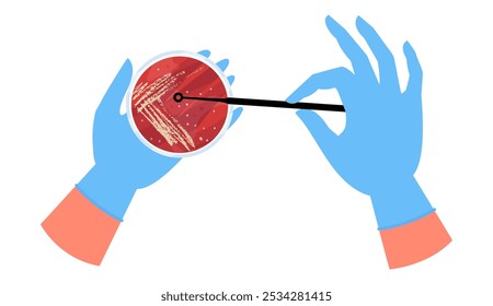 Top view on hands with Petri dish illustration. Petri dish with culture