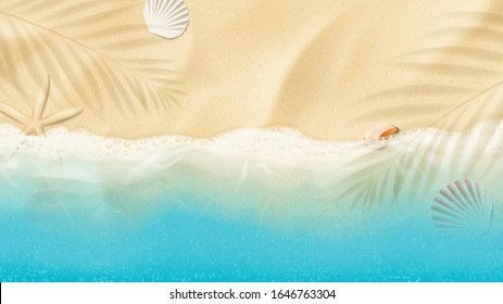 Vista superior de la playa de verano. Vista de la playa del océano con olas suaves. Hermoso fondo con conchas en la arena del mar. Ilustración vectorial con las sombras de la planta.