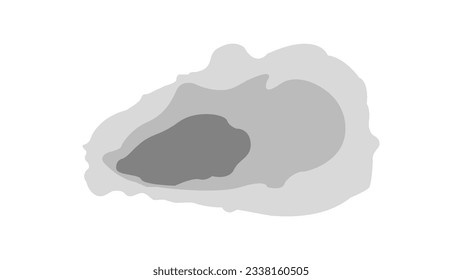 top view of an oyster