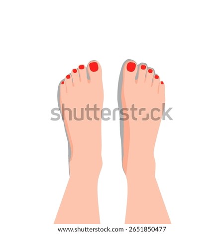 Top view of a pair of female feet standing, vector style. Ideal for foot care, spa, pedicure, barefoot illustrations, health, or posture-related graphics