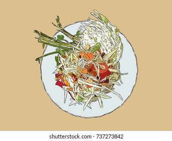 top view papaya salad or som-tum , thai food. hand drawn sketch vector. 