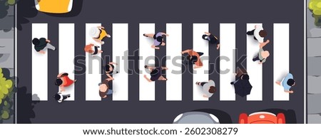 Top view of people set isolated. People cross the pedestrian crossing. Men and women. View from above. Vector illustration. Male and female characters. Simple flat style design. Realistic silhouettes.