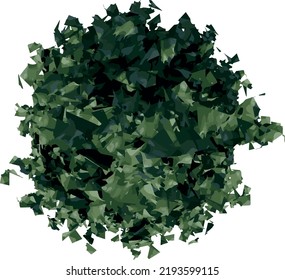 Top View Of Plant (Dragon Lady Holly- 1) Tree Illustration Vector	