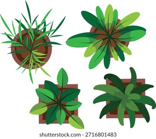 Top View Plants Set of 4 Greenery Above Vector
