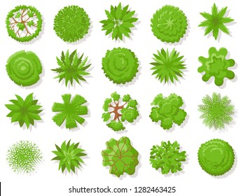 Top view plants. Tropical trees, green plant tree from above for aerial map. Garden landscape plan, planting tops or forest tree top isolated vector icons collection