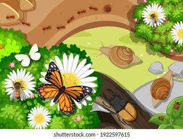 Top view of pond close up scene with many insects illustration
