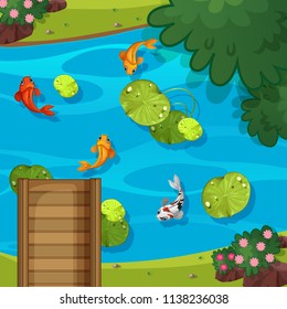 Top view of pond illustration