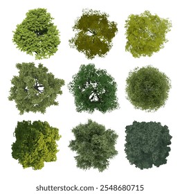 Top view realistic trees collection isolated on white background