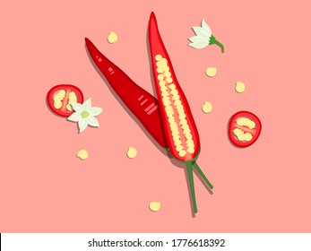 top view of red hot chilli pepper half cut and slice and chili flowers  on sweet pink background