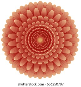 Top view of regular shape red flower.
Circle decoration with detailed and realistic aster flower.