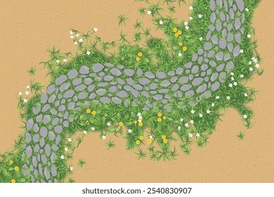 Top view of a rocky path with breaking grass and wildflowers among the sand. View from above.