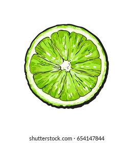 Top View Round Slice, Half Of Ripe Green Lime, Sketch Style Vector Illustration On White Background. Hand Drawn Lime Cut In Half, Round Slice