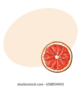 Top view round slice, half of ripe grapefruit, red orange, sketch style vector illustration with space for text. Hand drawn grapefruit cut in half, round slice