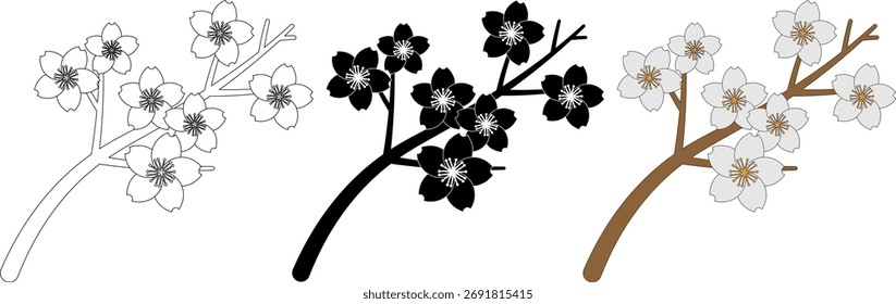 top view Sakura branch in bloom with flowers