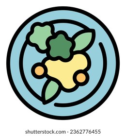 Vector de contorno de icono de ensalada de vista superior. Cocina de paleo. Color de dieta salada plano