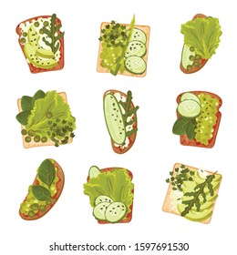 Top View of Sandwich with Garden-stuff and Culinary Plants on Top of It Vector Set