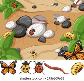 Escena de vista superior de muchos insectos con diferentes insectos aislados