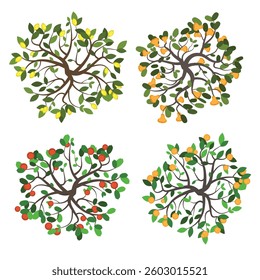 Top view of a set of isolated colour vector images of garden trees with branches, leaves and fruits: lemon, orange, apple, pear. View from above. Aerial.