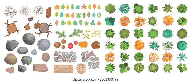 Top view of a set of isolated vector images for creating a forest: a variety of trees, shrubs, dry branches, stumps, stones, benches, tables, tree leaves, berries, mushrooms, moss. View from above.