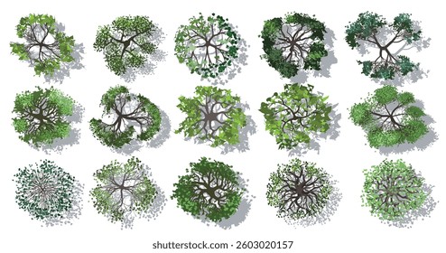 Top view of a set of isolated vector icons of green deciduous trees in a realistic manner with shadows on the white background. View from above. Aerial.