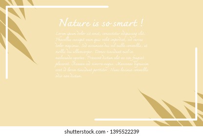 Top view shadow of botanical rustic natural template with frame on transparent background. Simple, flat lay design, monochrome vector illustration.