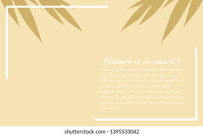 Top view shadow of botanical rustic natural template with frame on transparent background. Simple, flat lay design, monochrome vector illustration.