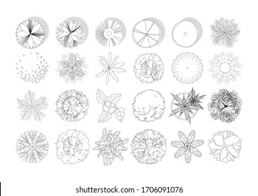 Top view and side view, set of graphics trees elements outline symbol for architecture and landscape design drawing. Vector illustration