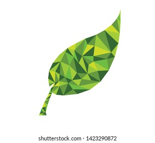 Top view of the small plant, group of green fresh leaf tree branches, white background isolated, low polygon crystal design