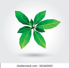 Top view of the small plant, group of green fresh leaf tree branches, white background isolated, low polygon crystal design