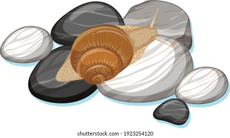Top view of snail on a stone on white background illustration