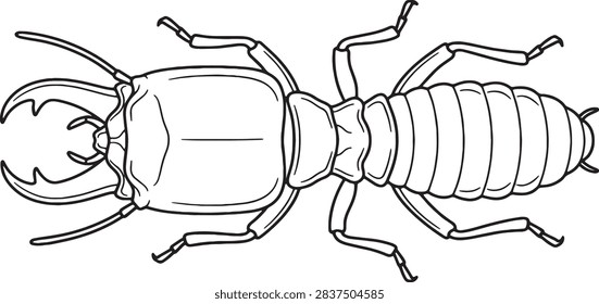 Top View Soldier Termite Outline Illustration with Mandibles