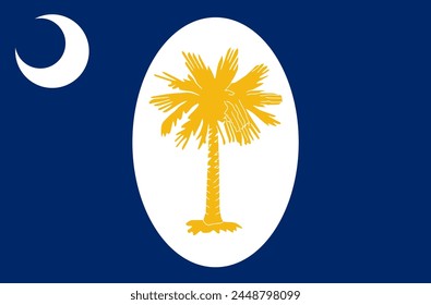 Top view of South Carolina January 1861 , USA flag, no flagpole. Plane design layout Flag background