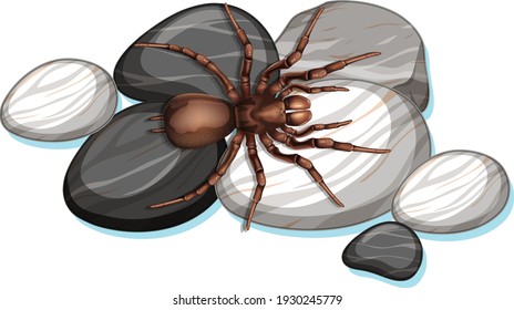 Top view of spider on a stone on white background illustration