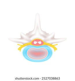 Vista superior de la médula espinal amarilla. Anatomía vertebral y órgano humano de hueso de disco sobre fondo blanco. Concepto de diagnóstico médico. Anuncio Vector EPS10.