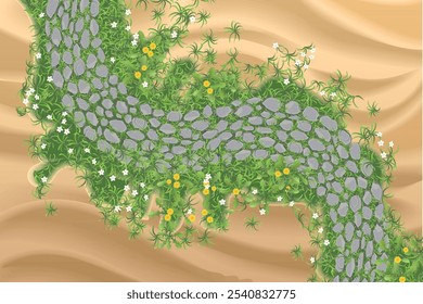 Top view of a stone path with breaking grass and wildflowers among sand dunes in the desert. View from above.
