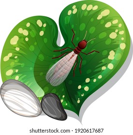 Top view of termite on a leaf isolated illustration