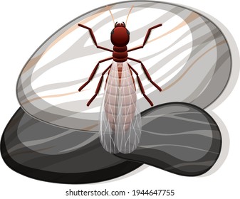Top view of termite on a stone on white background illustration