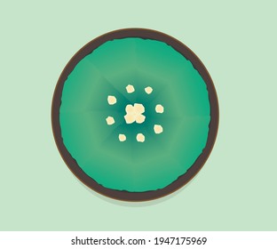 A top view of a tiny green cactus with a soft white blossom in a pot, set against a gradient blue background. Illustration captures fresh summer vibes and Thailand’s vibrant  lifestyle.