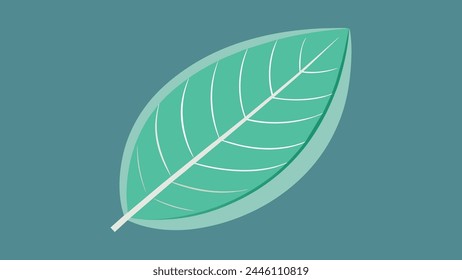 Top view of transparent leaf lamina background